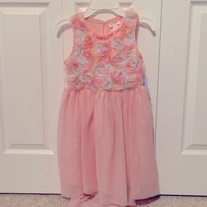 NWT! Cat & Jack Pink Rosette Dress!
